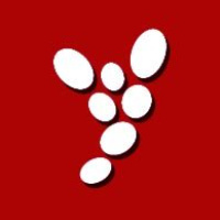 Channel Logo